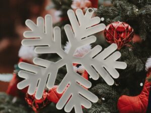 copo-nieve-acrilico-esmerilado-esfera-woodle